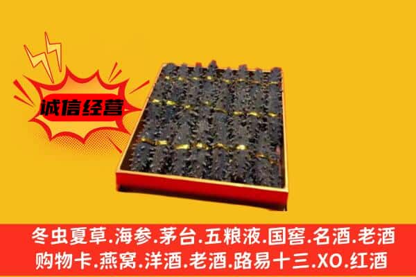 惠来县回收海参